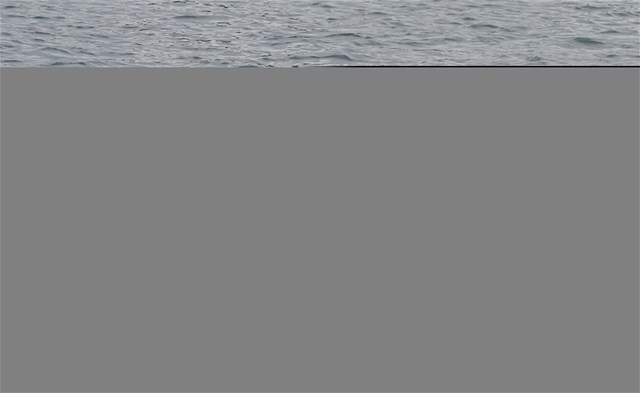 Nicolas Chambers (b), Ivo Loepfe (s), Men's Double Sculls, Switzerland, Bronze, 2023 World Rowing Under 19 Championships, Paris, France © Detlev Seyb / MyRowingPhoto.com