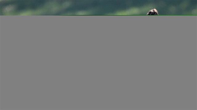 Magdalena Lobnig, Women's Single Sculls, Austria, 2023 World Rowing Championships, Belgrade, Serbia © Detlev Seyb / MyRowingPhoto.com